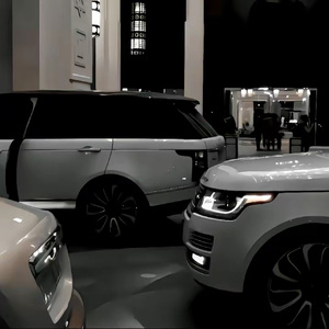 911柚子猫盛世容颜小僵尸
